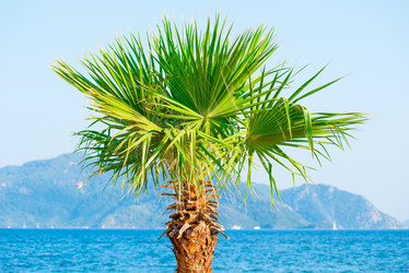 Similar image 6477838