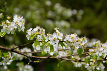 Similar image 6477875