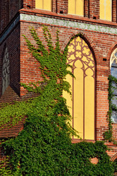 Similar image 6477882