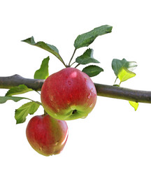 Similar image 6477883