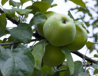 Similar image 6478290