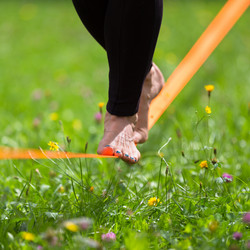 Similar image 6478876