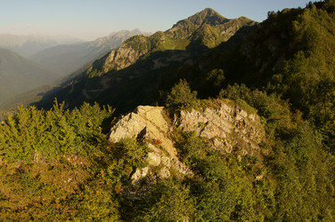 Similar image 6479343