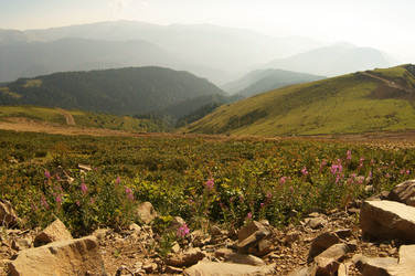 Similar image 6479408