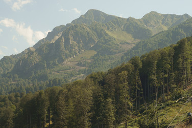 Similar image 6479413