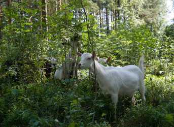 Similar image 6479443