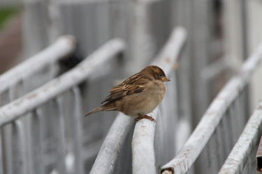 Similar image 6479452