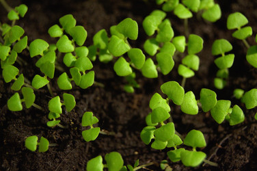 Similar image 6479453