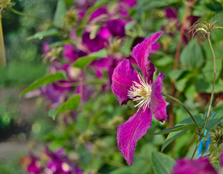 Similar image 6479454