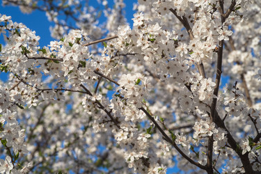 Similar image 6495411