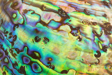 Similar image 6495423