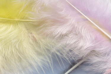 Similar image 6495424