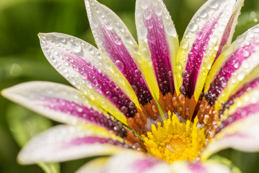 Similar image 6495426