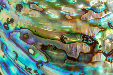 Similar image 6495428