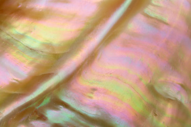 Similar image 6495437