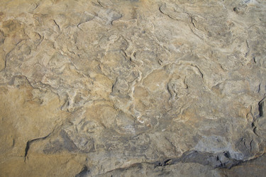 Similar image 6495450