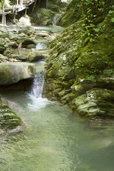 Similar image 6495456