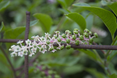 Similar image 6495467