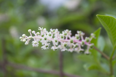 Similar image 6495469