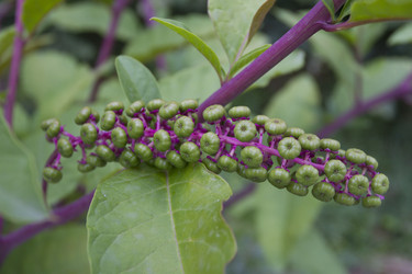 Similar image 6495470