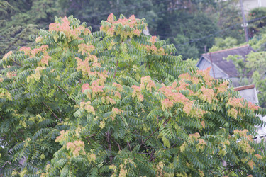 Similar image 6495479