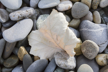 Similar image 6495480