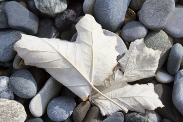 Similar image 6495481