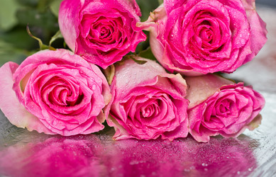 Similar image 6495496