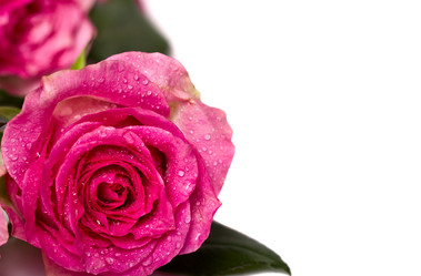 Similar image 6495498