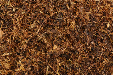 Similar image 6495519