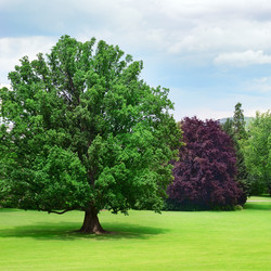 Similar image 6495521