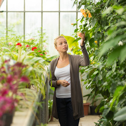 Similar image 6495577