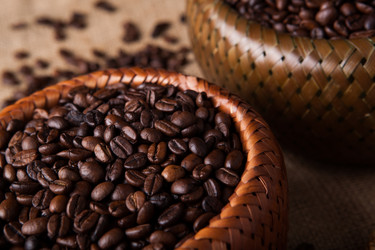 Similar image 6495596