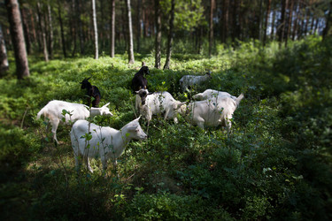 Similar image 6495794