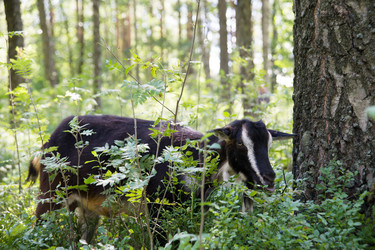 Similar image 6495795