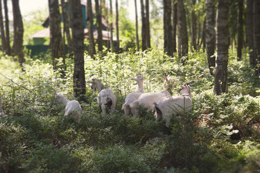 Similar image 6495796