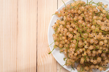 Similar image 6495821