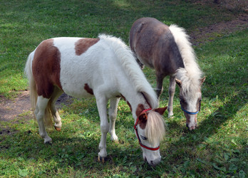 Similar image 6495853