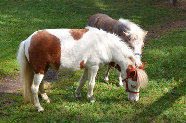 Similar image 6495855