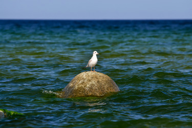 Similar image 6495860