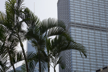 Similar image 6495871