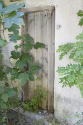 Similar image 6495906