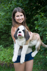 Similar image 6496219