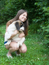 Similar image 6496227