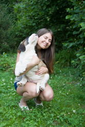 Similar image 6496228