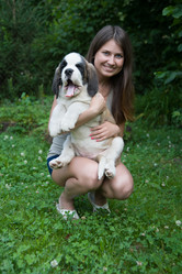 Similar image 6496231