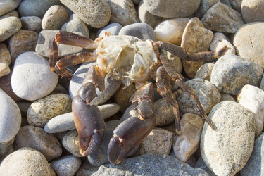 Similar image 6496241