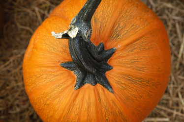 Similar image 6496283