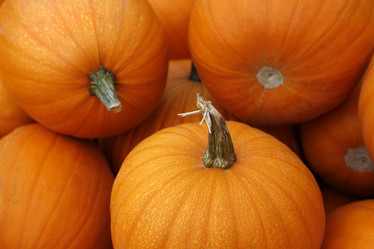 Similar image 6496284