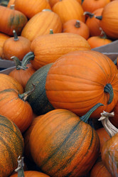 Similar image 6496286